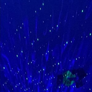 Meet your Posher, Abel